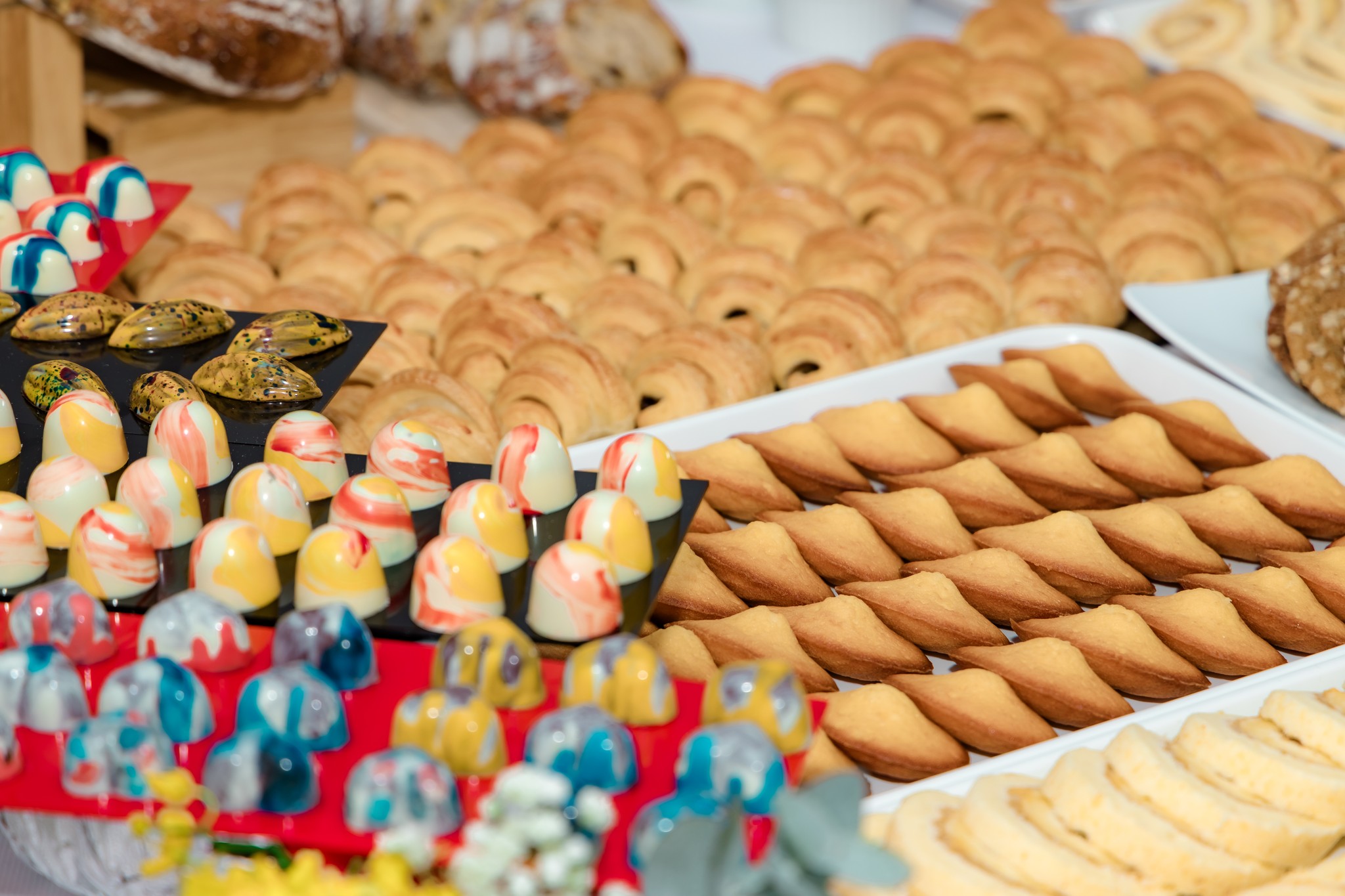 480980895_607222365526405_1092650046923506240_n