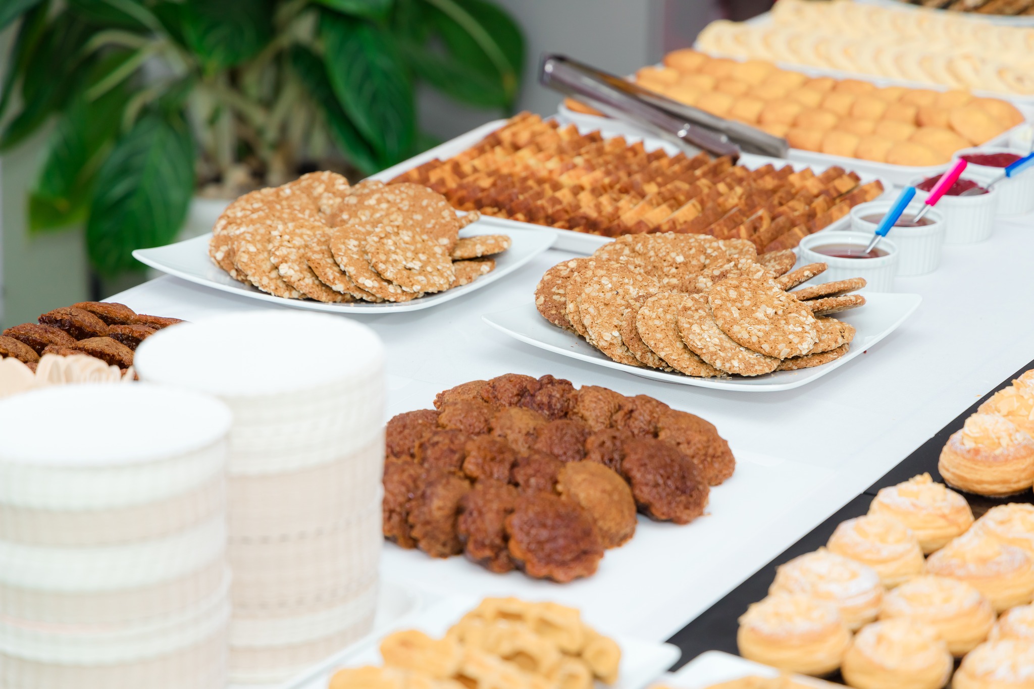 481252532_607222388859736_2809499819927040791_n